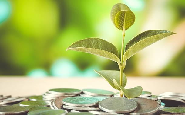 Энергосбережение нынче в моде